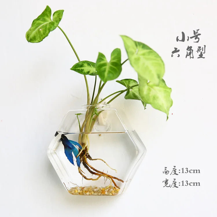 Wall Hanging Glass Terrarium — Borosilicate Hydroponic Vase