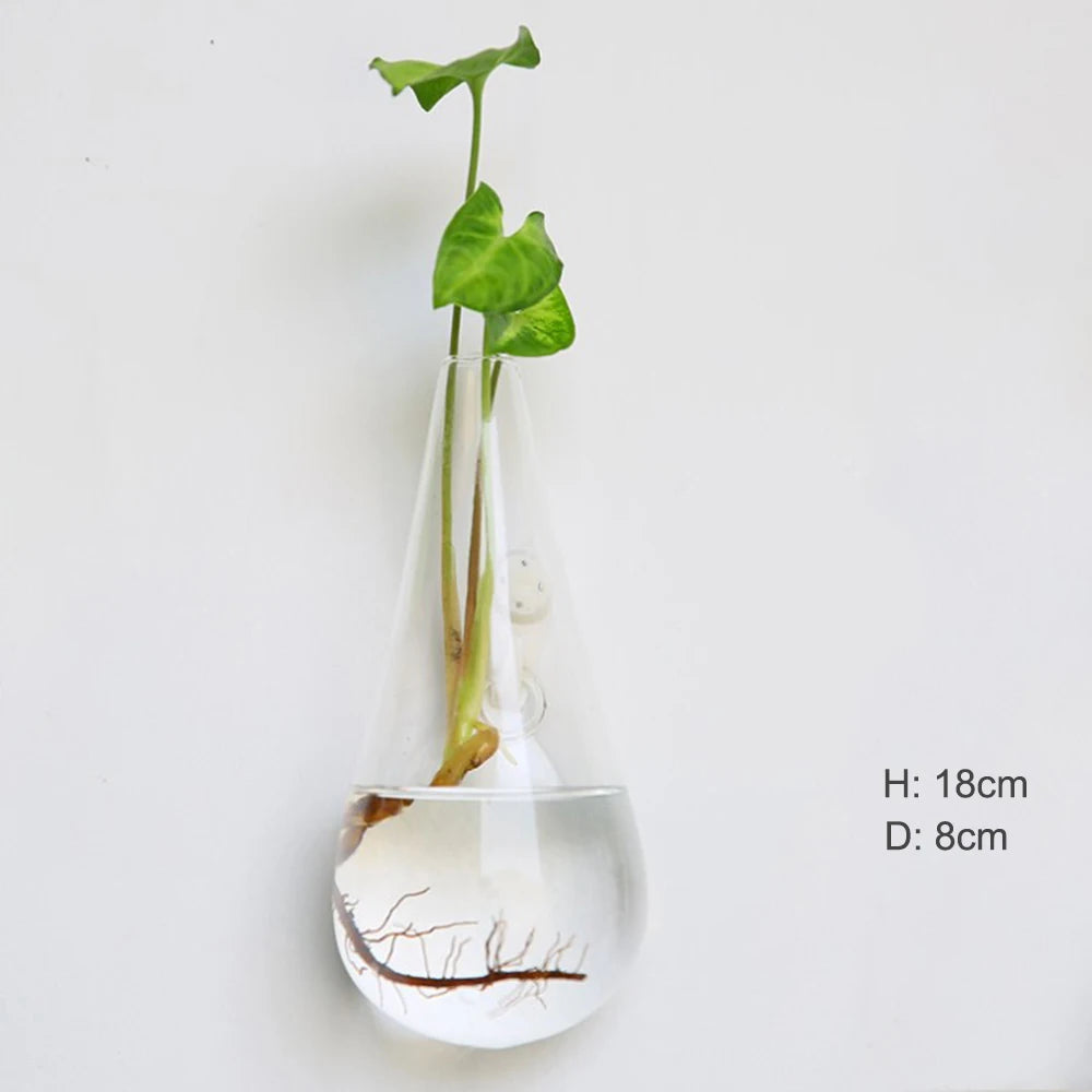 Wall Hanging Glass Terrarium — Borosilicate Hydroponic Vase