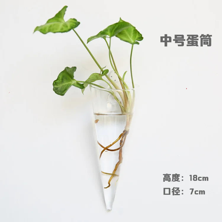 Wall Hanging Glass Terrarium — Borosilicate Hydroponic Vase