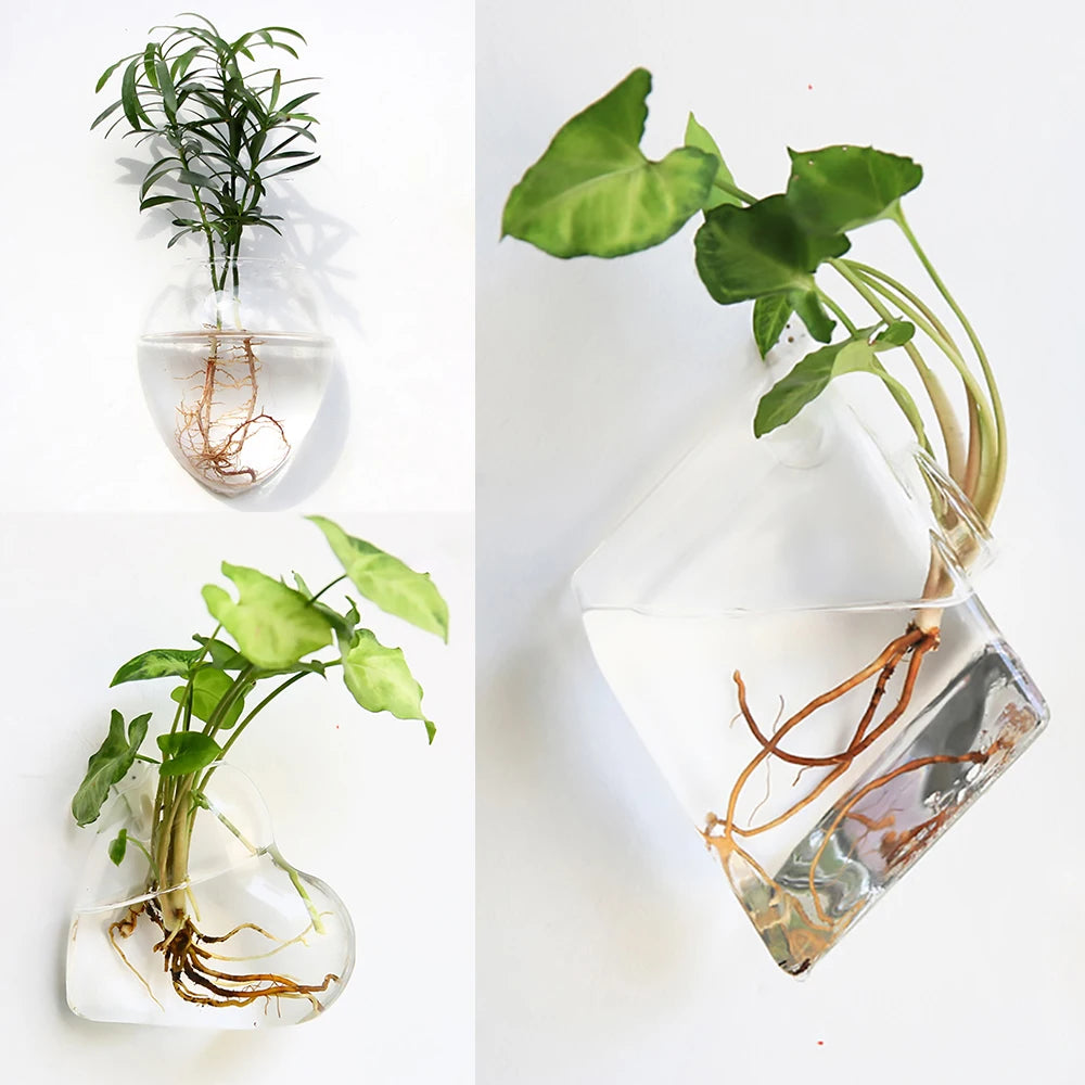 Wall Hanging Glass Terrarium — Borosilicate Hydroponic Vase