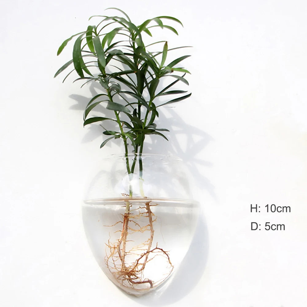 Wall Hanging Glass Terrarium — Borosilicate Hydroponic Vase