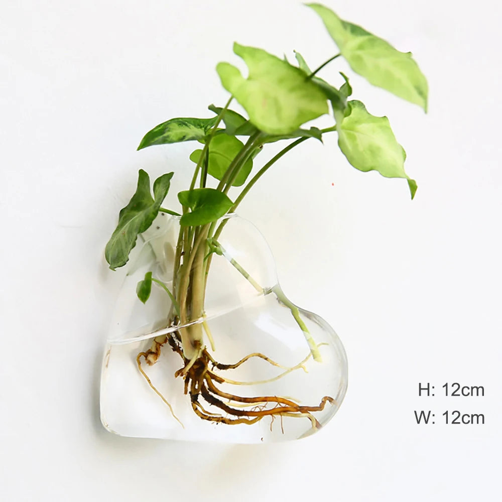 Wall Hanging Glass Terrarium — Borosilicate Hydroponic Vase