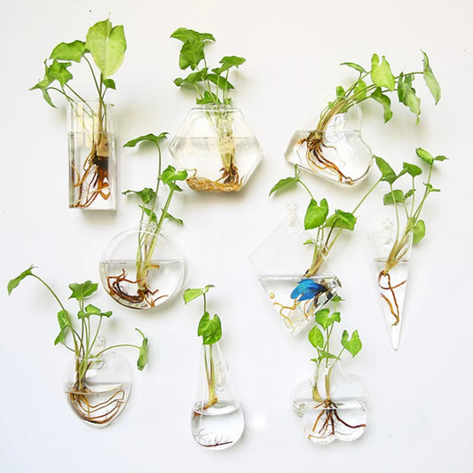 Wall Hanging Glass Terrarium — Borosilicate Hydroponic Vase