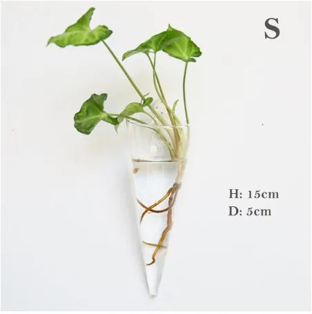 Wall Hanging Glass Terrarium — Borosilicate Hydroponic Vase