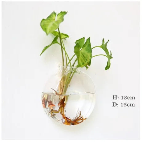 Wall Hanging Glass Terrarium — Borosilicate Hydroponic Vase