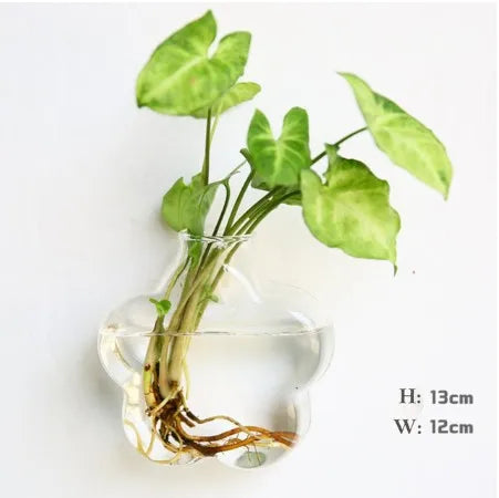 Wall Hanging Glass Terrarium — Borosilicate Hydroponic Vase