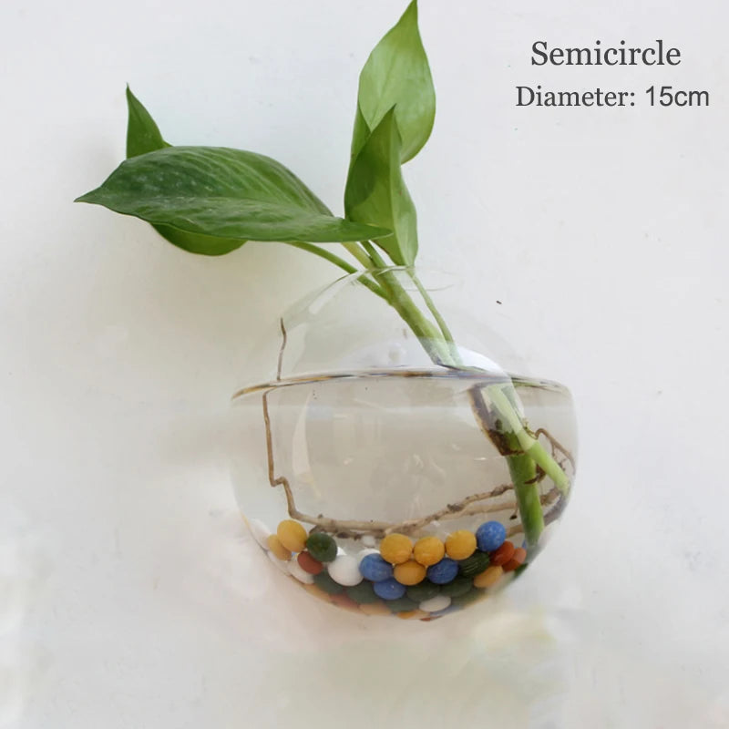 Wall Hanging Glass Terrarium — Borosilicate Hydroponic Vase