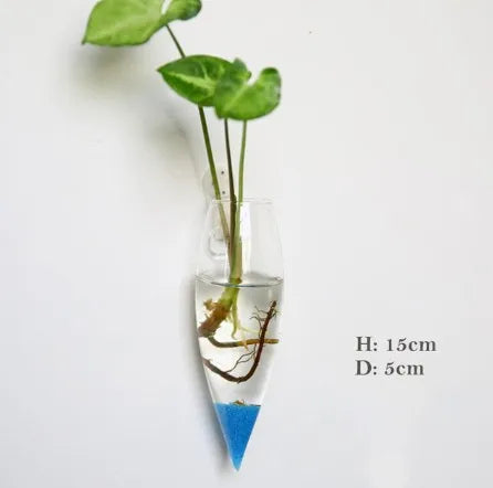 Wall Hanging Glass Terrarium — Borosilicate Hydroponic Vase