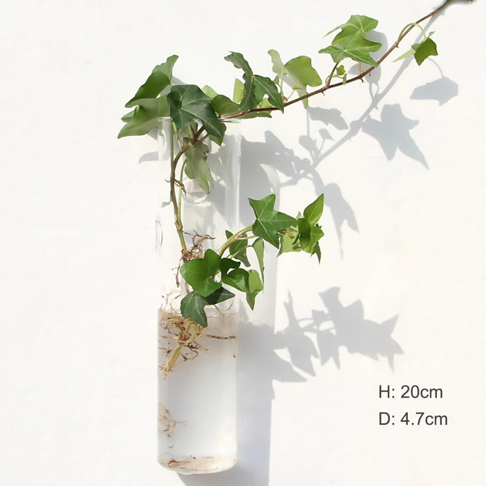 Wall Hanging Glass Terrarium — Borosilicate Hydroponic Vase