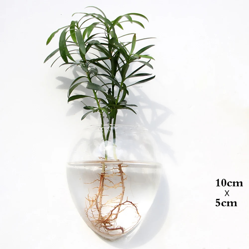Wall Hanging Glass Terrarium — Borosilicate Hydroponic Vase