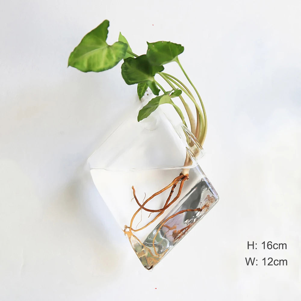 Wall Hanging Glass Terrarium — Borosilicate Hydroponic Vase