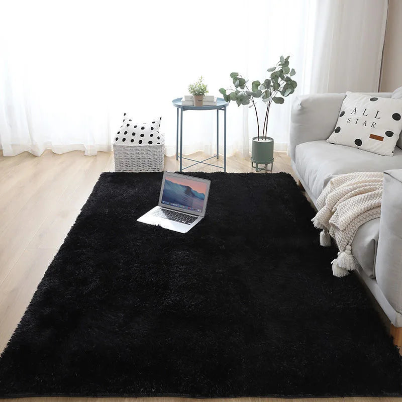 Black rug in a living room with a laptop, plant, and sofa.
